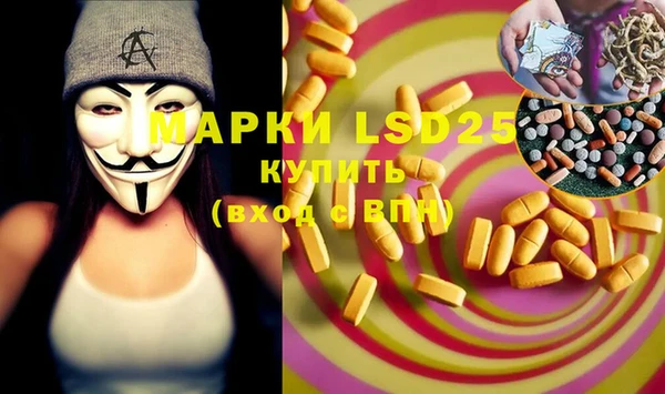 сатива Ступино