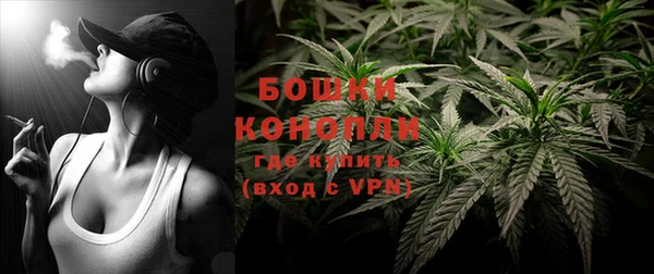 сатива Ступино